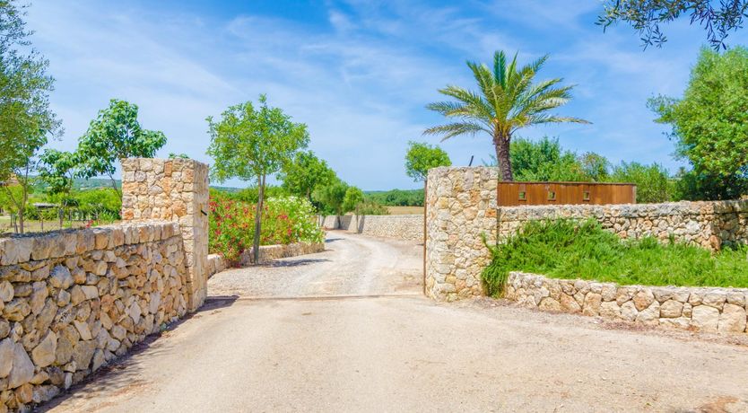 Photo of Fields & Fronds
