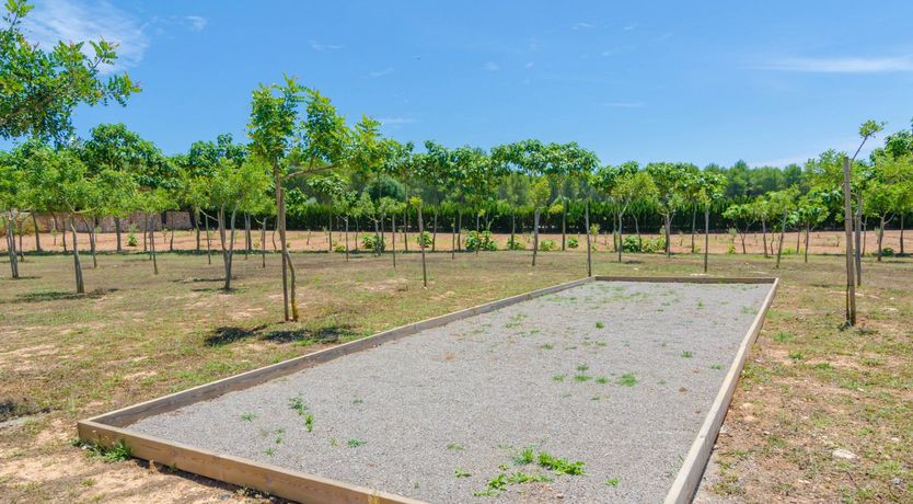 Photo of Fields & Fronds