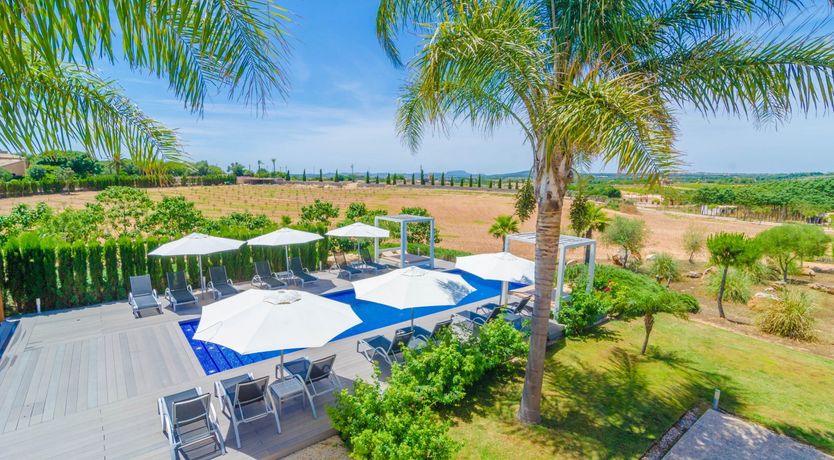 Photo of Fields & Fronds