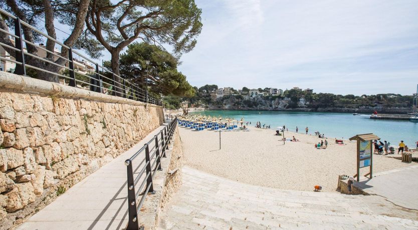 Photo of Fields & Fronds