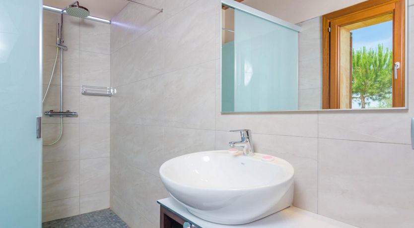 Photo of Fields & Fronds