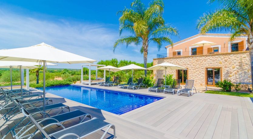 Photo of Fields & Fronds