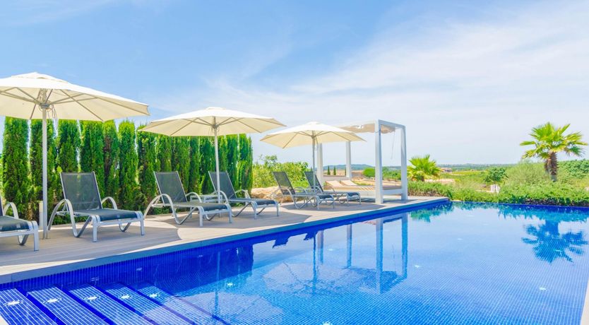 Photo of Fields & Fronds