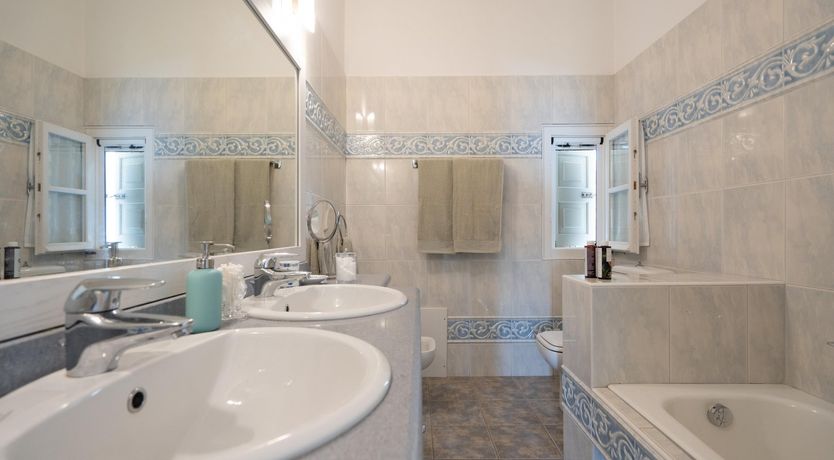 Photo of Magenta Bloom