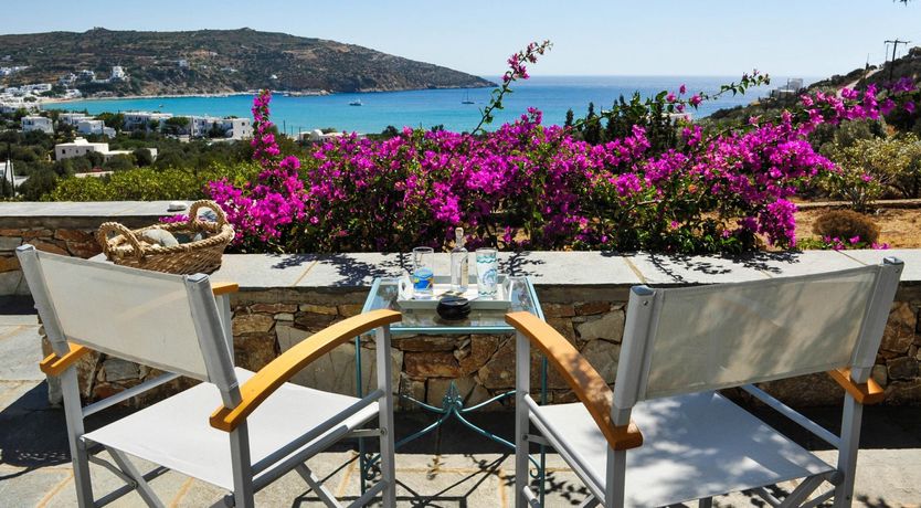 Photo of Magenta Bloom