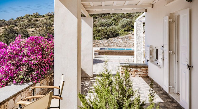 Photo of Magenta Bloom