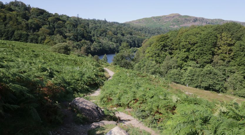 Photo of Nook Cottage