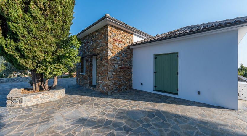 Photo of Pine Tree Path