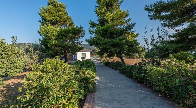 Photo of Pine Tree Path