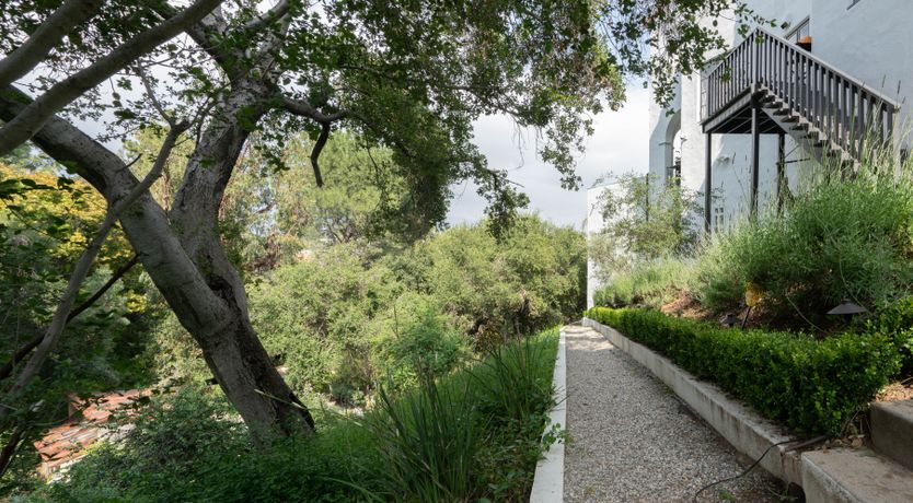 Photo of Viva Forever