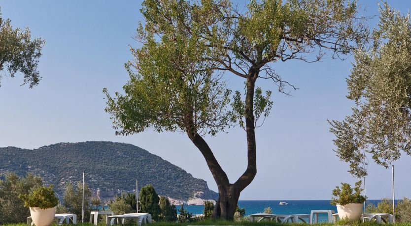 Photo of Harbour Vista