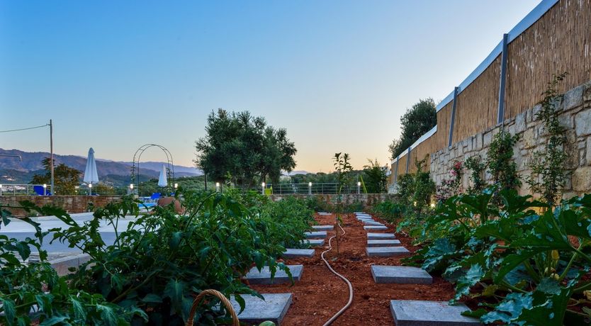 Photo of Morning Song