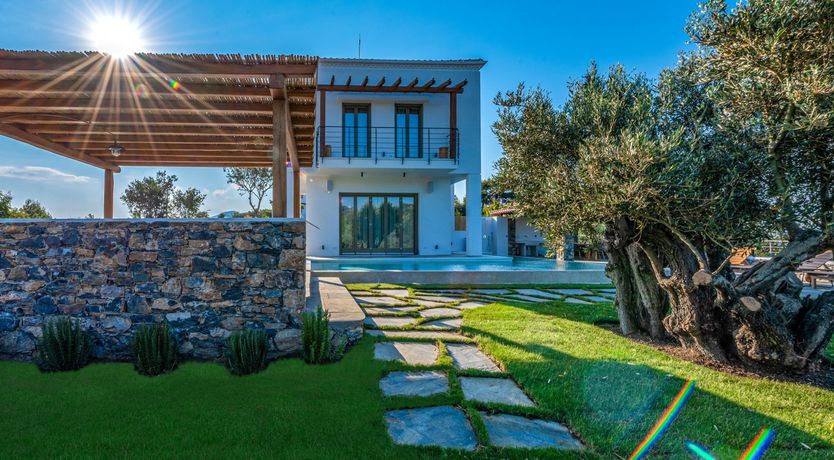 Photo of Donna's Dance