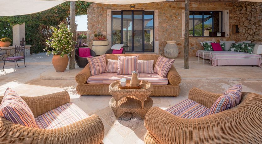 Photo of Golden Shimmer