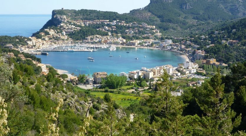 Photo of Golden Shimmer