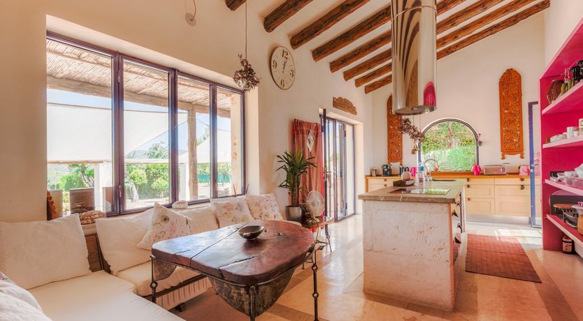 Photo of Golden Shimmer