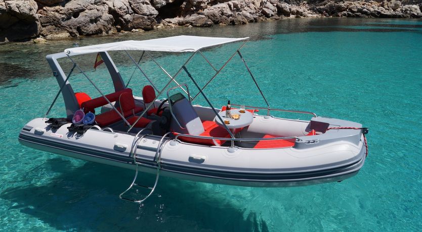 Photo of Golden Shimmer