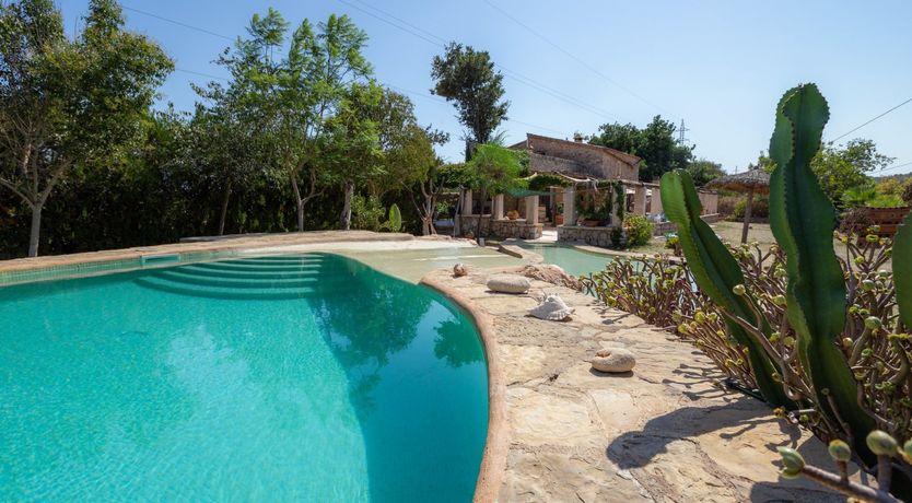 Photo of Golden Shimmer