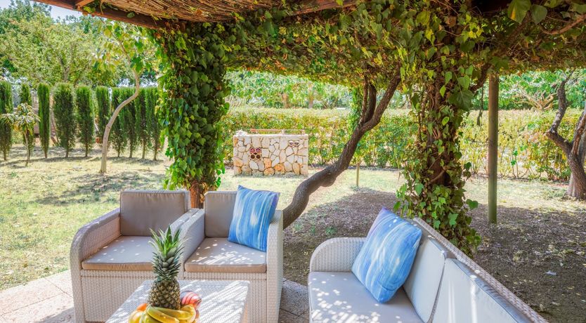 Photo of Golden Shimmer