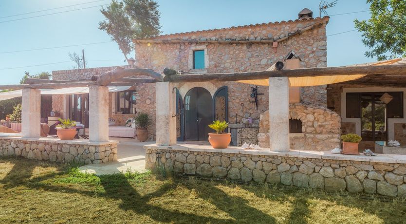 Photo of Golden Shimmer