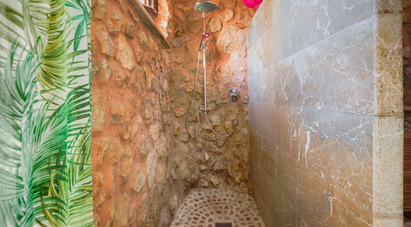 Photo of Golden Shimmer