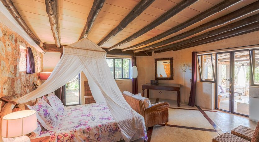 Photo of Golden Shimmer