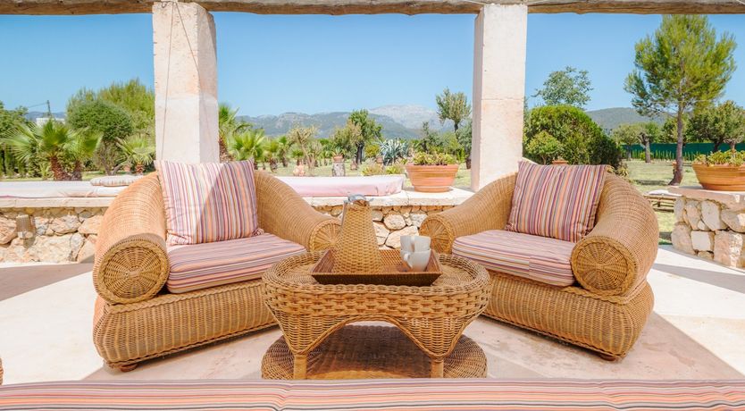 Photo of Golden Shimmer