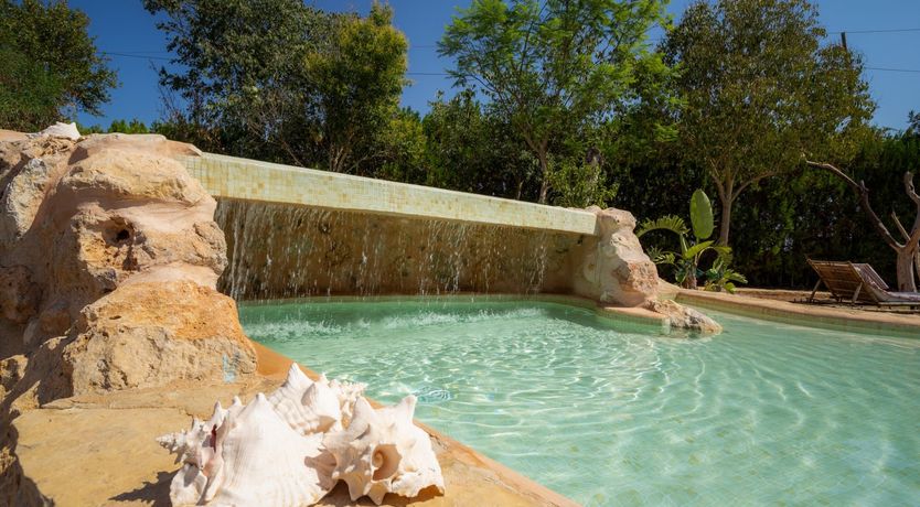 Photo of Golden Shimmer