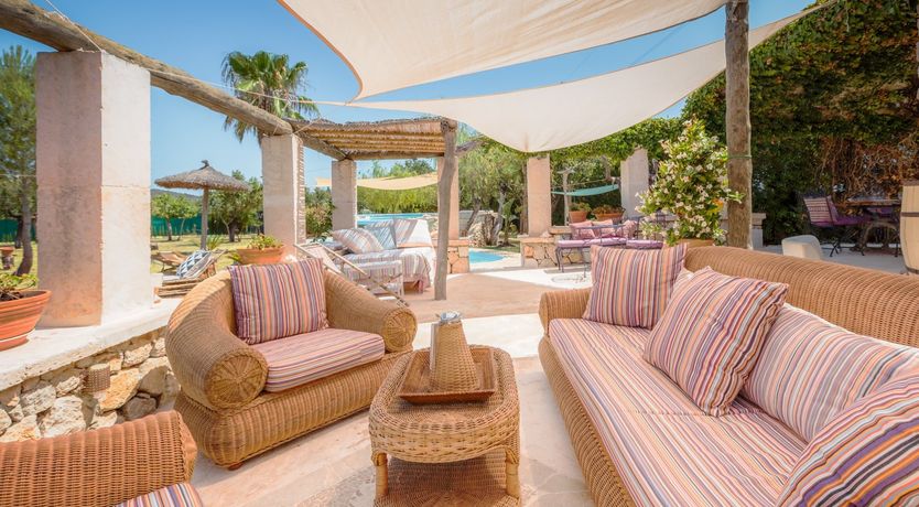 Photo of Golden Shimmer