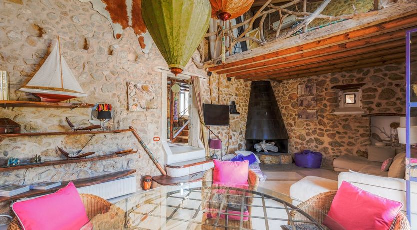 Photo of Golden Shimmer