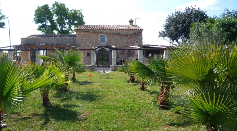 Photo of Golden Shimmer