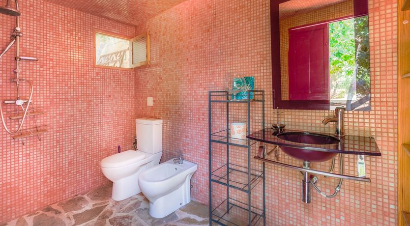 Photo of Golden Shimmer