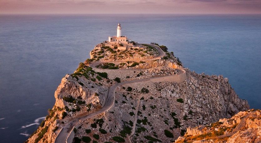 Photo of Golden Shimmer