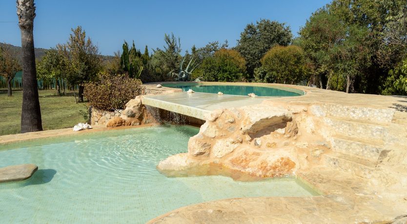 Photo of Golden Shimmer