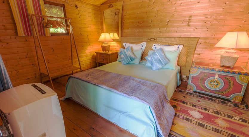 Photo of Golden Shimmer