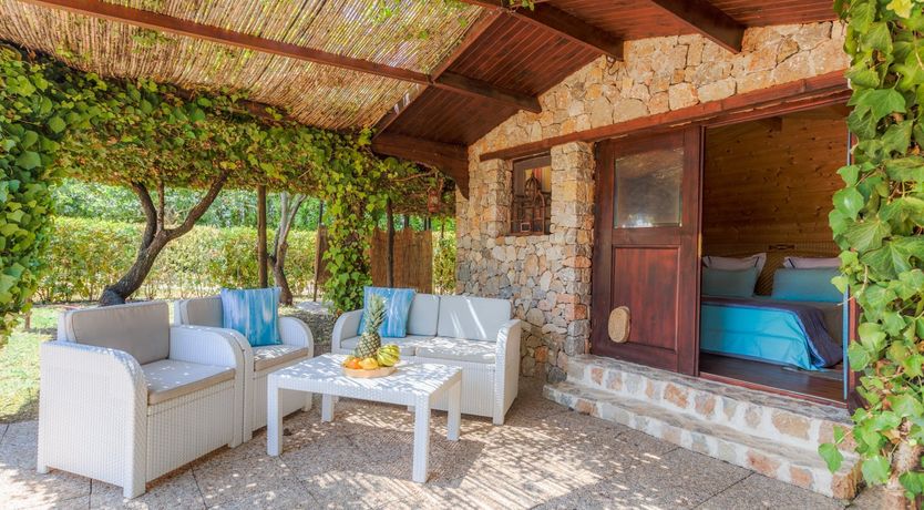 Photo of Golden Shimmer