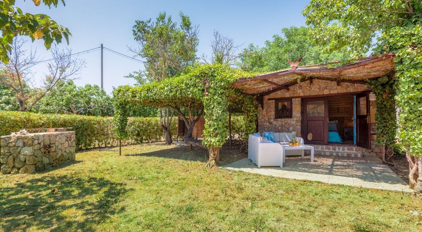 Photo of Golden Shimmer