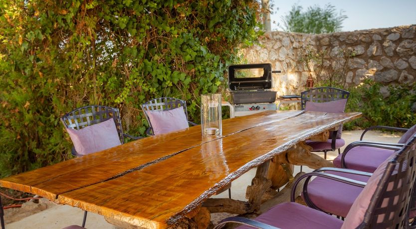 Photo of Golden Shimmer