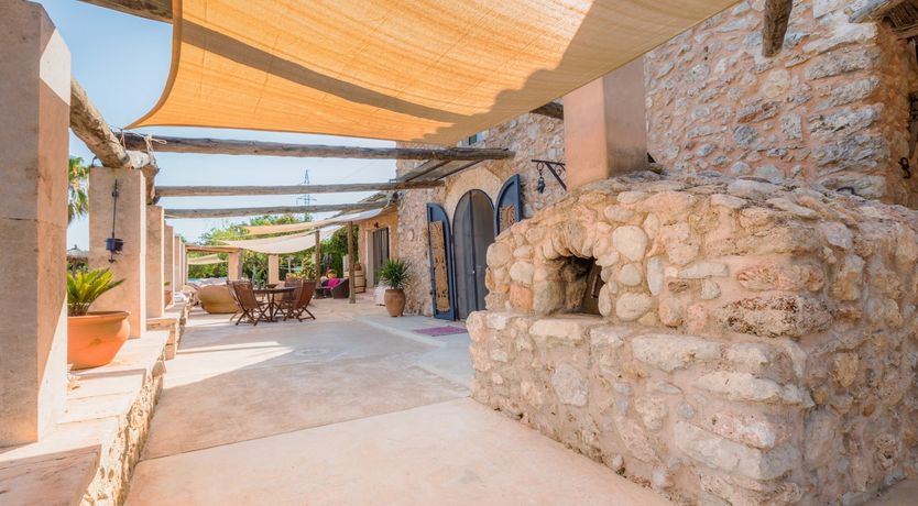 Photo of Golden Shimmer