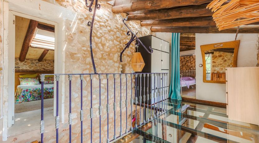 Photo of Golden Shimmer