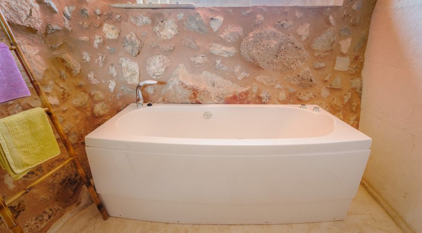 Photo of Golden Shimmer