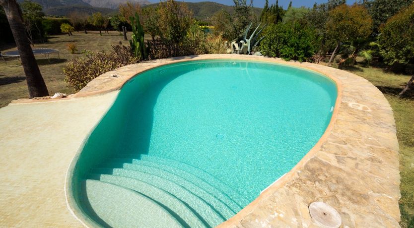 Photo of Golden Shimmer