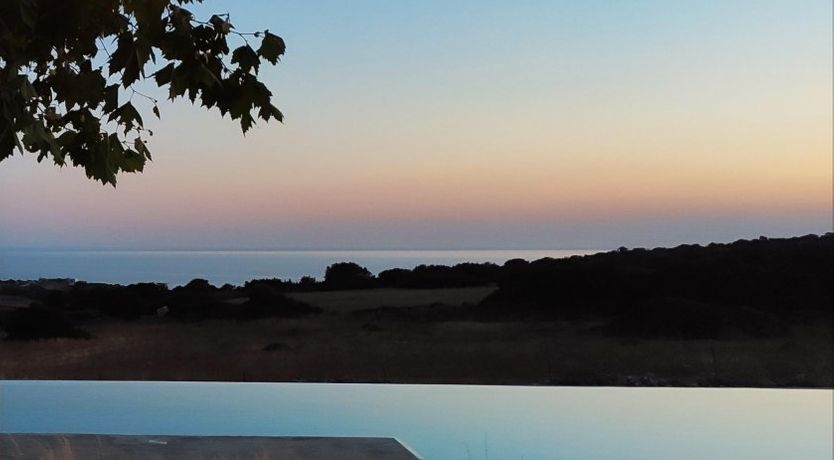 Photo of Wicker & White