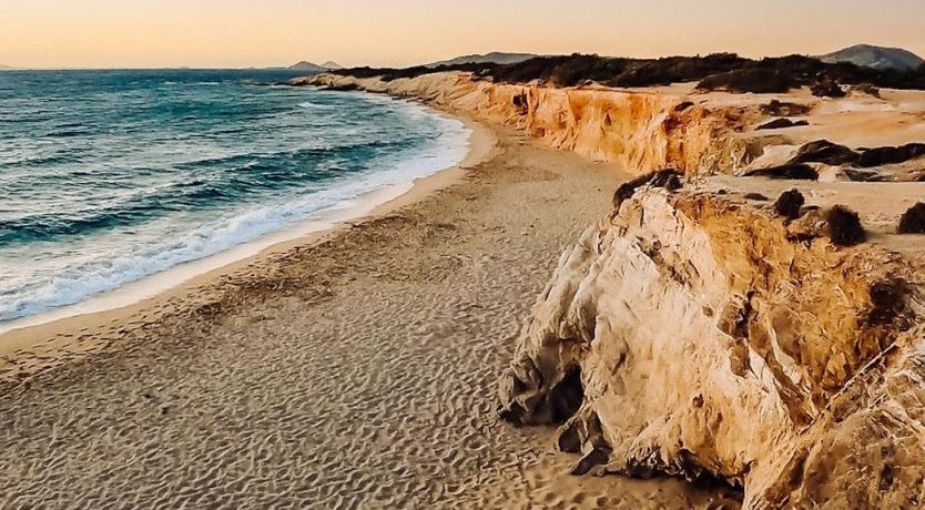 Photo of Wicker & White