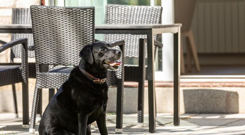 Photo of 2 Bed in St. Mellion