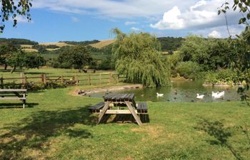 1 Bed in Weston-super-mare Holiday Cottage
