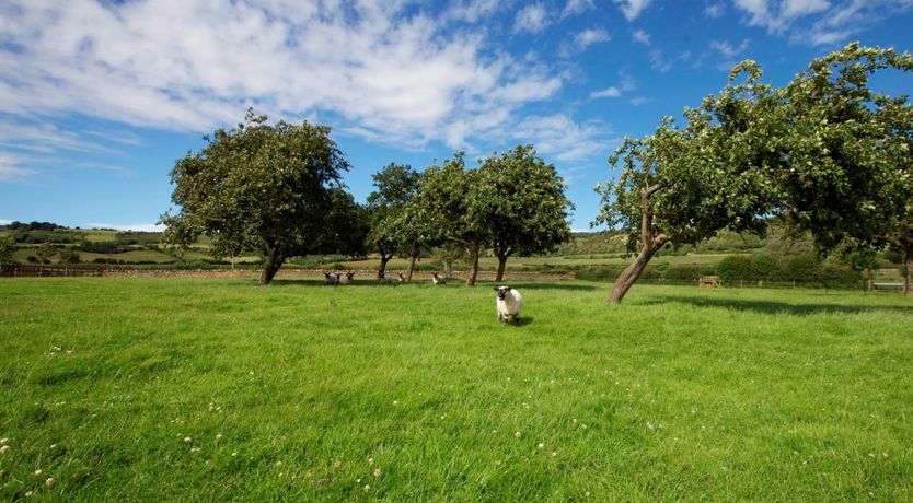 Photo of 1 Bed in Bleadon