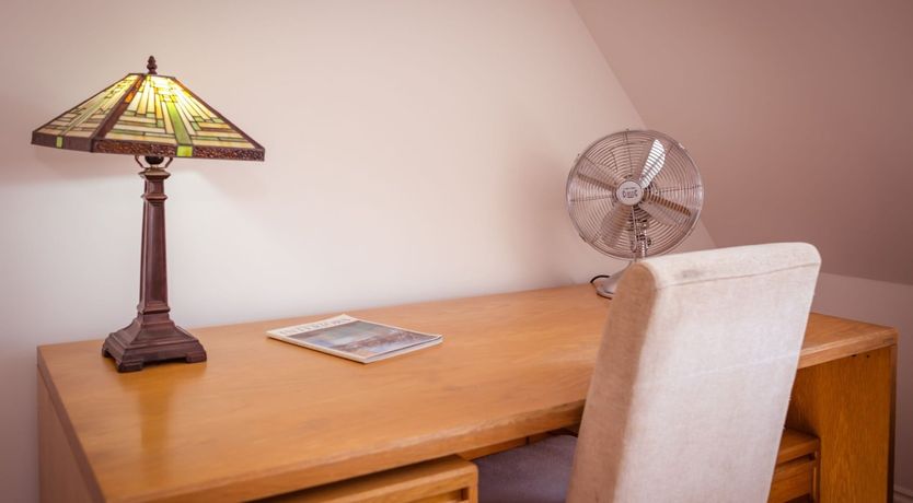 Photo of The Lofty Cow