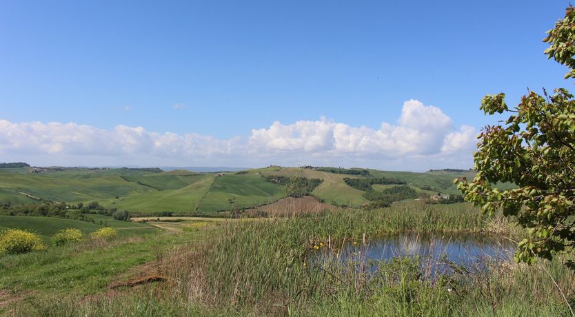 Photo of Tuscan Hills