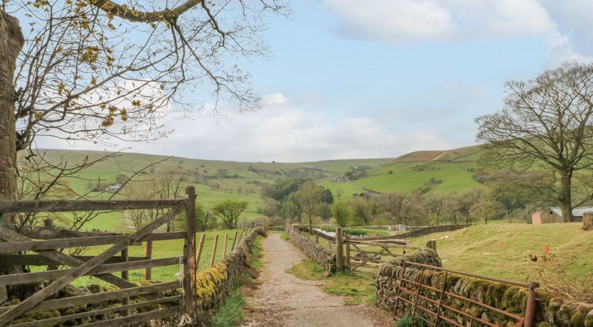 Photo of Swallows Return